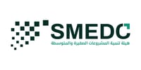 Small and Medium Enterprises Development Center in Syria (SMEDCS)